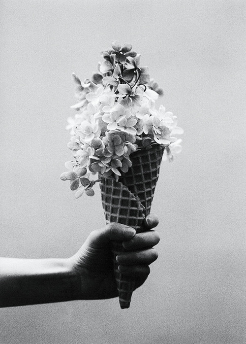 Archillect ID 52302