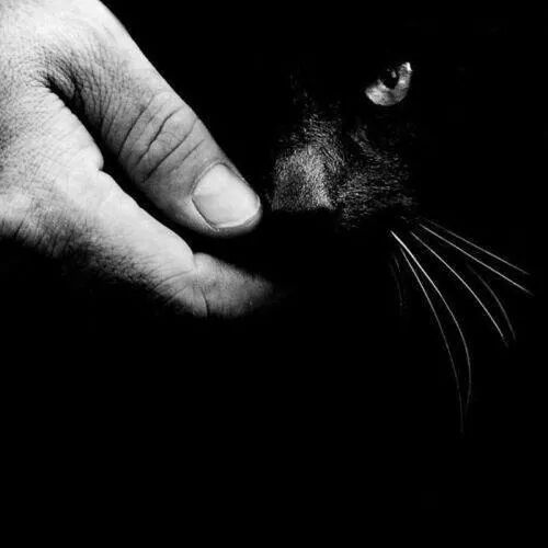 Archillect ID 52305