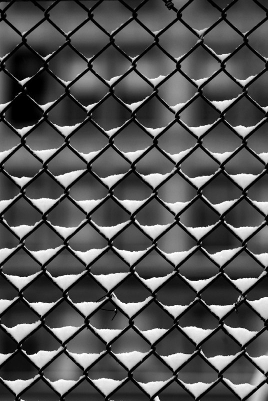 Archillect ID 52309