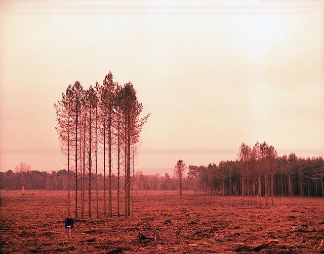Archillect ID 52348