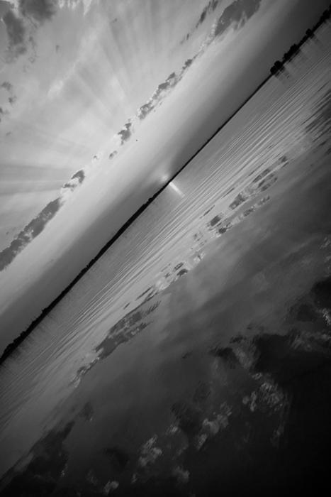 Archillect ID 52363