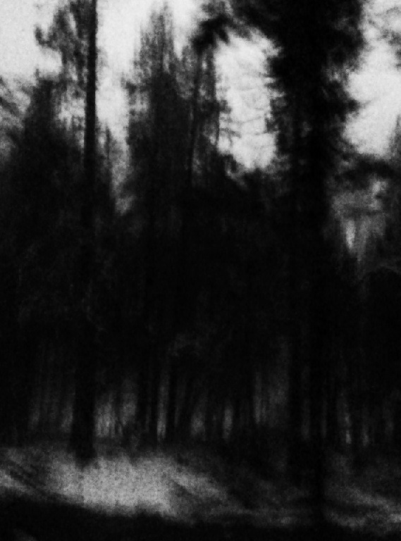 Archillect ID 52387