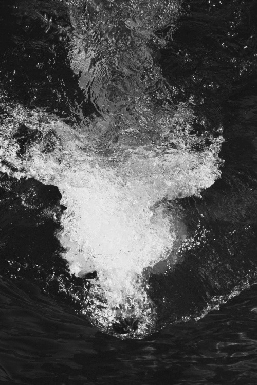 Archillect ID 52449