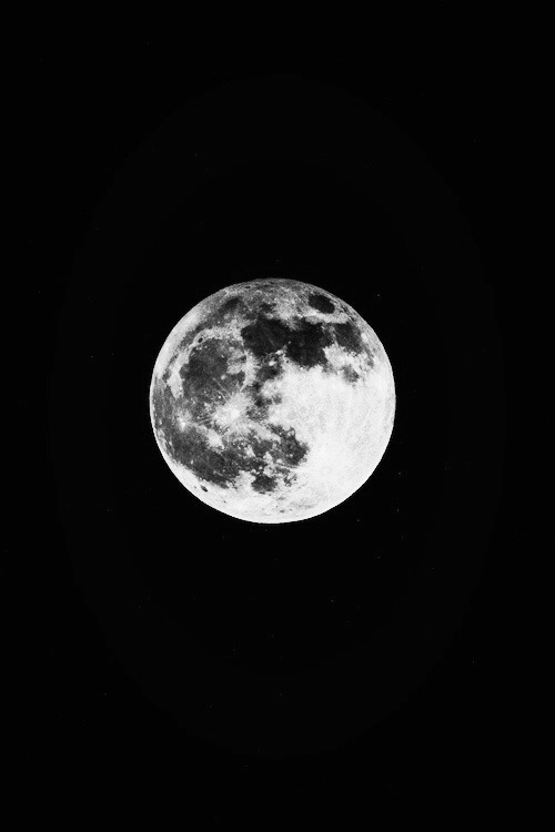 Archillect ID 52512