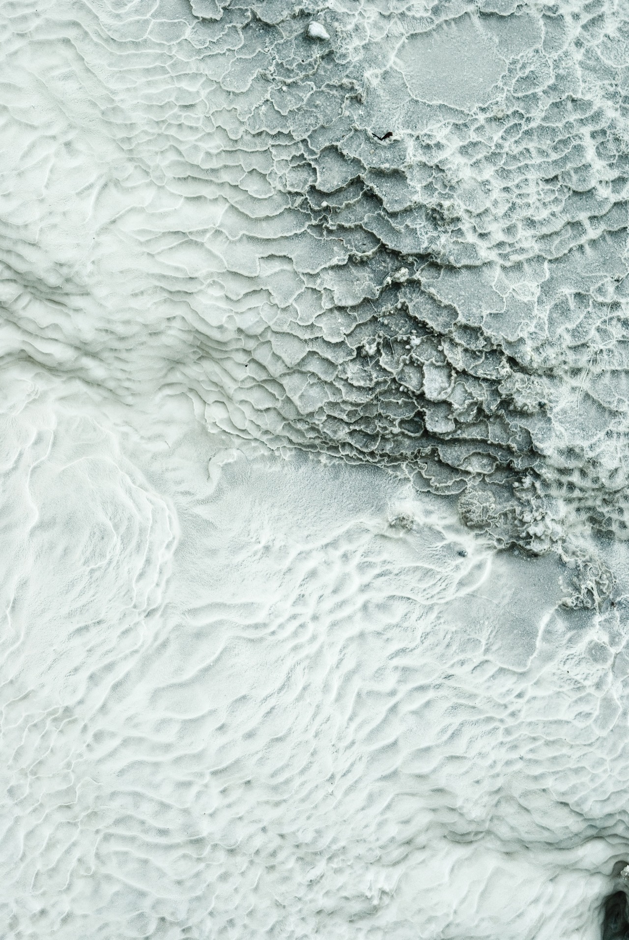 Archillect ID 52534