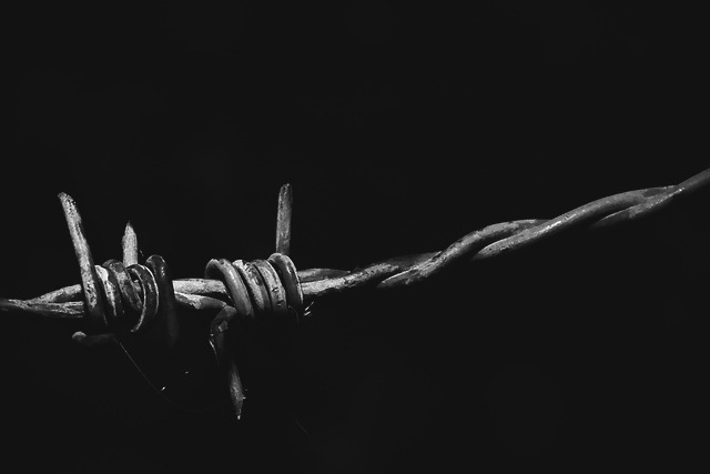Archillect ID 52535