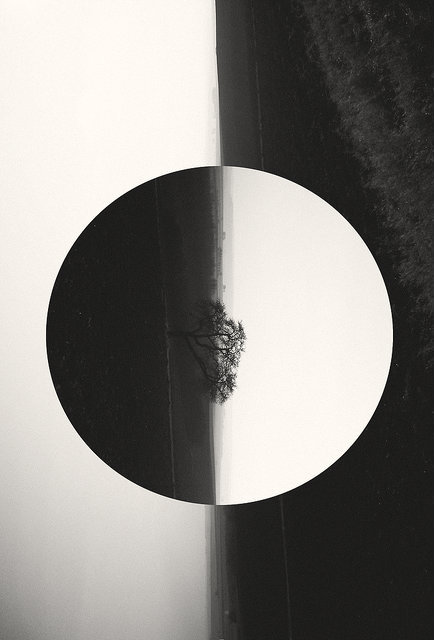 Archillect ID 52703