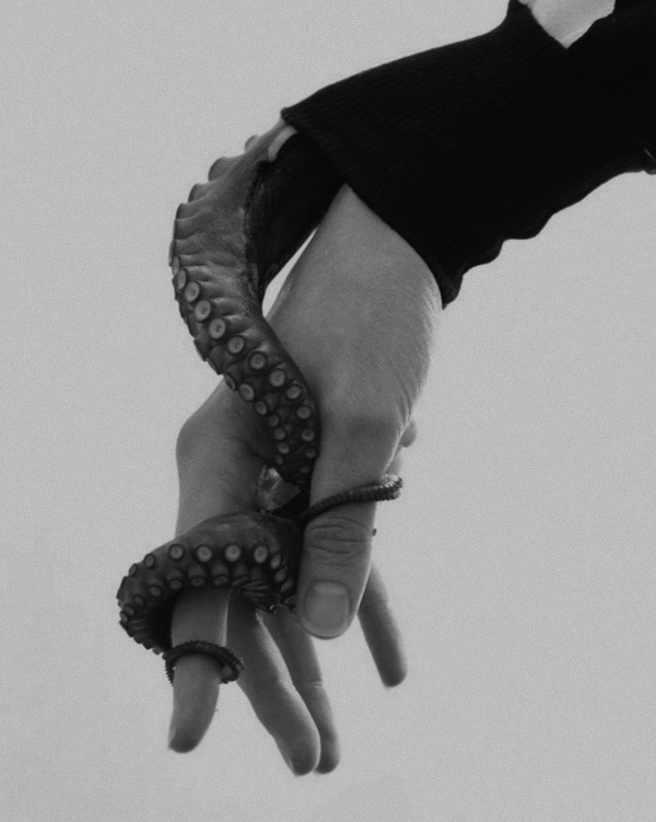 Archillect ID 52731