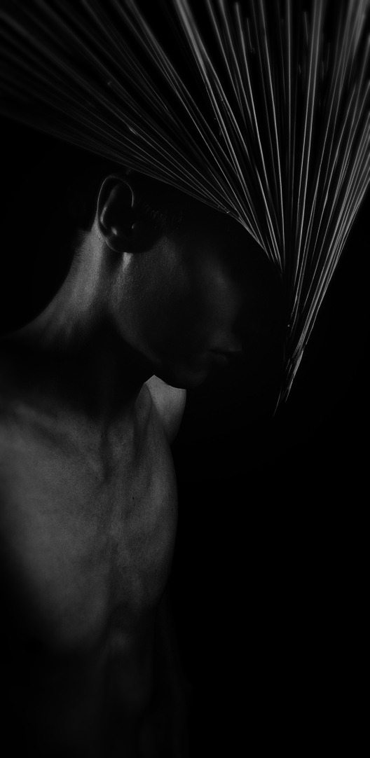 Archillect ID 52843