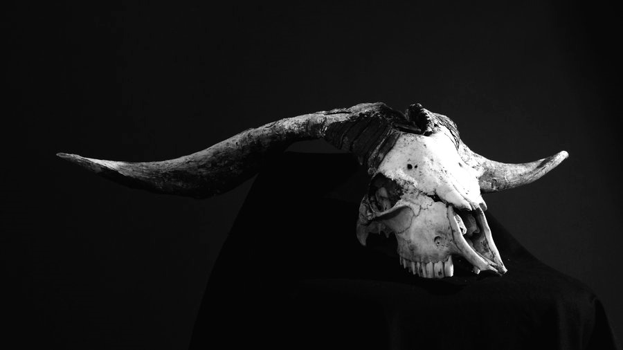 Archillect ID 52866