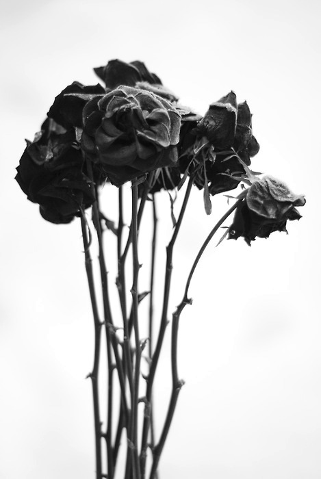 Archillect ID 52871