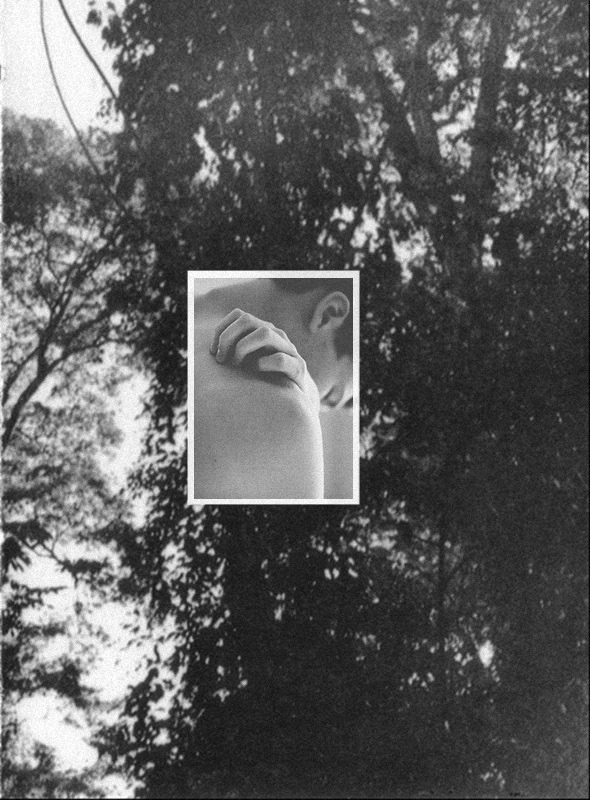 Archillect ID 52892