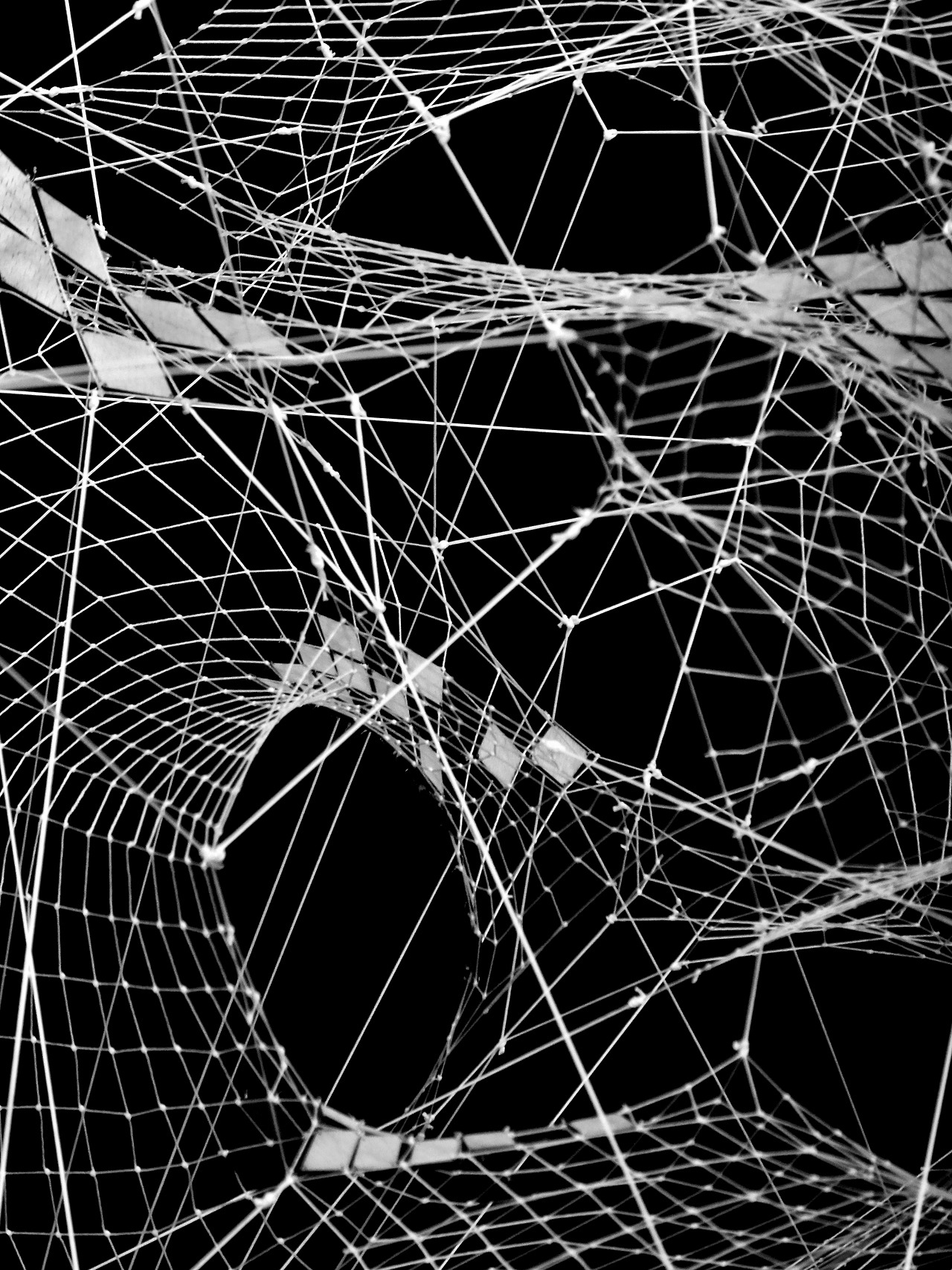 Archillect ID 52924