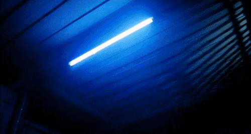 Archillect ID 53081
