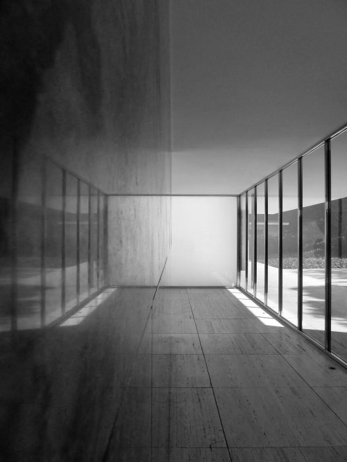 Archillect ID 53102