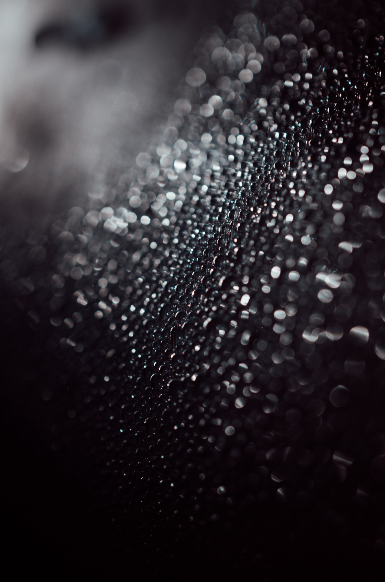 Archillect ID 53118
