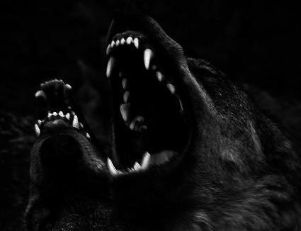 Archillect ID 53193