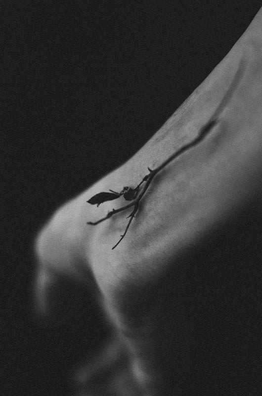 Archillect ID 53197