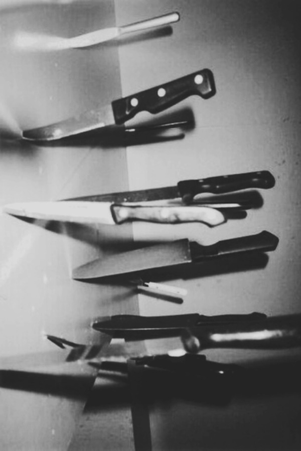 Archillect ID 53295