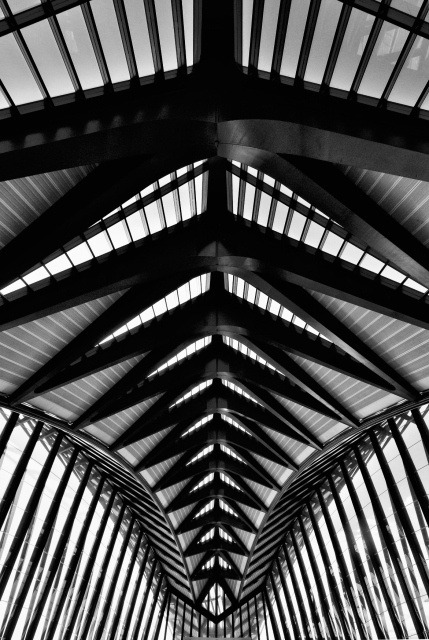 Archillect ID 53300