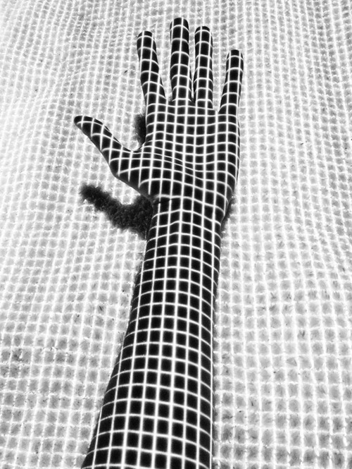 Archillect ID 53330