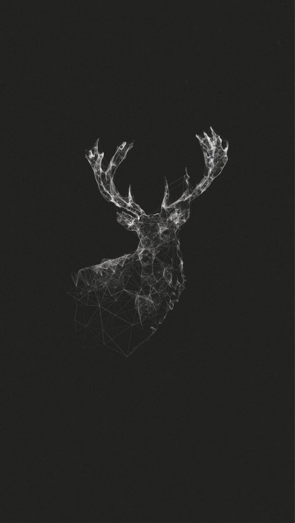 Archillect ID 53342