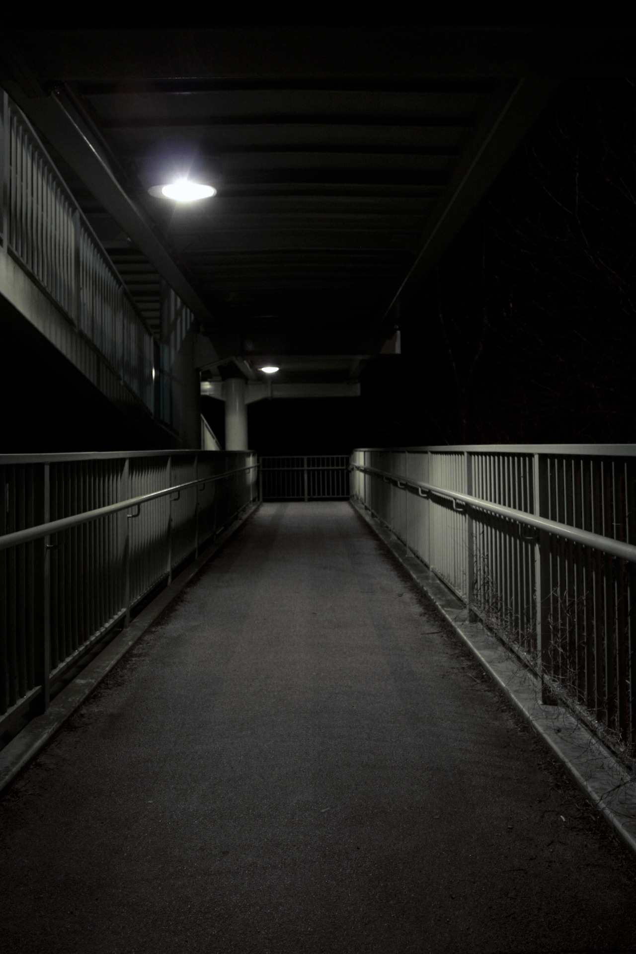 Archillect ID 53356