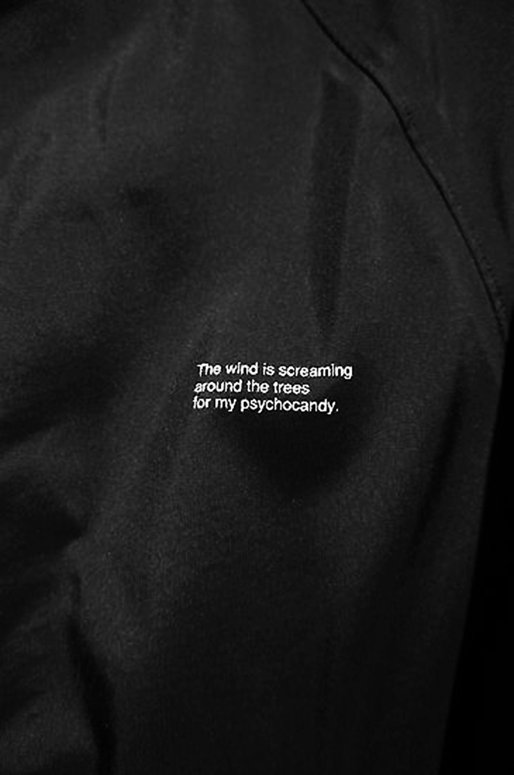 Archillect ID 53365