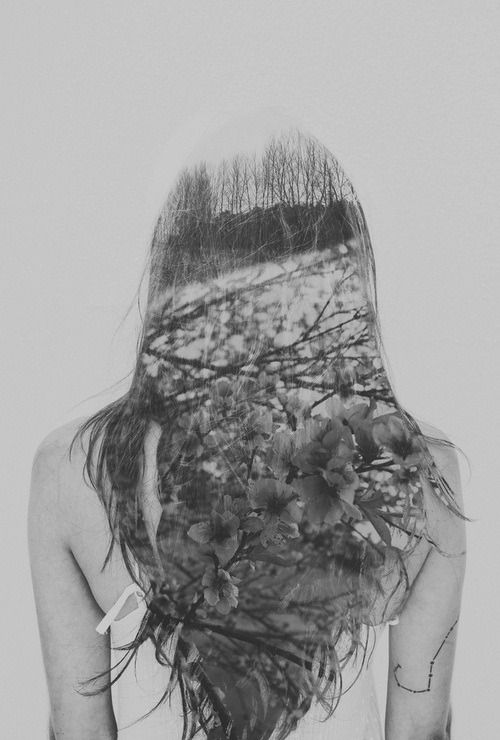 Archillect ID 53374