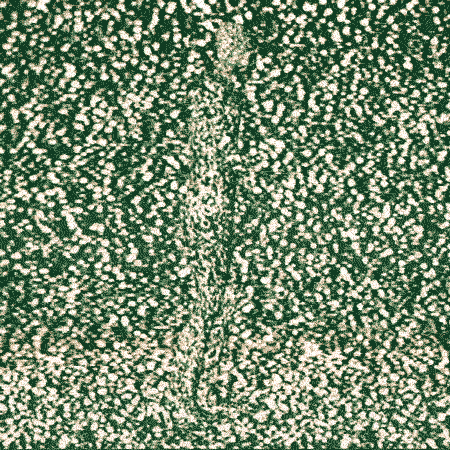 Archillect ID 53380