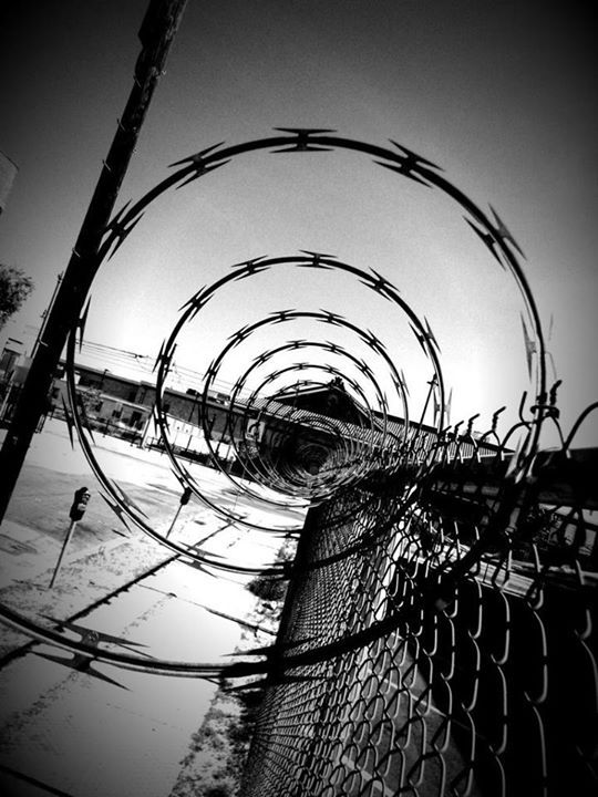 Archillect ID 53406