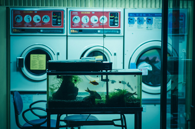Archillect ID 53413