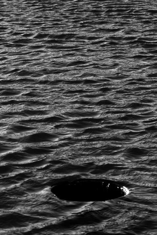 Archillect ID 53435