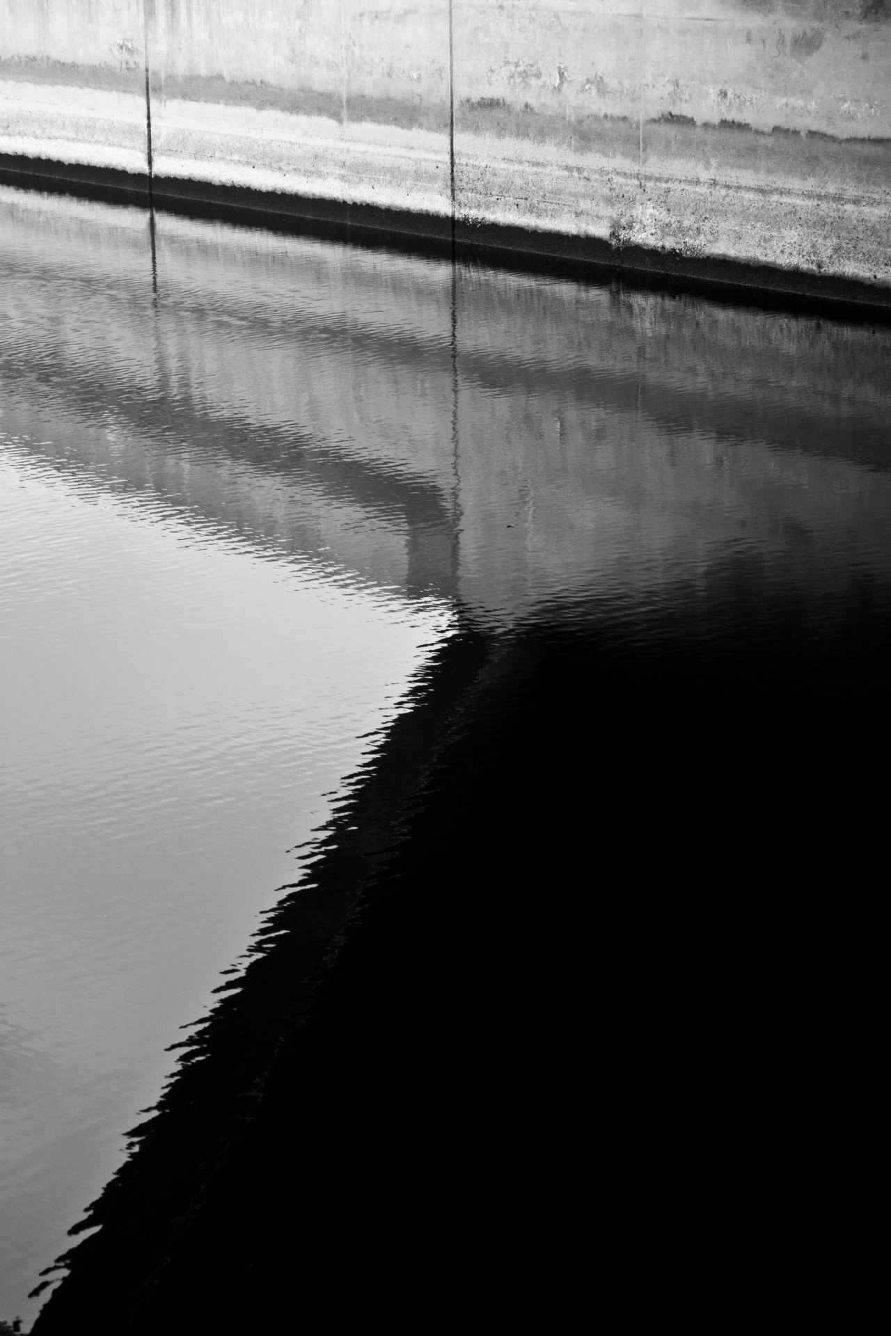 Archillect ID 53445