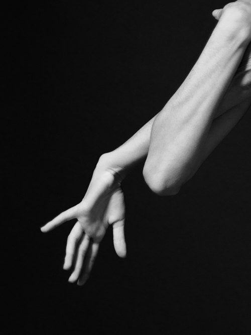Archillect ID 53455
