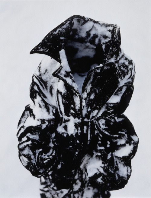Archillect ID 53509