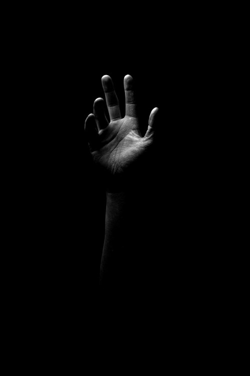 Archillect ID 53544