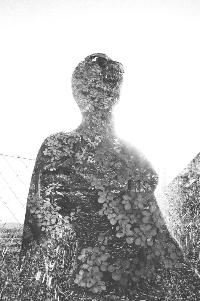 Archillect ID 53551