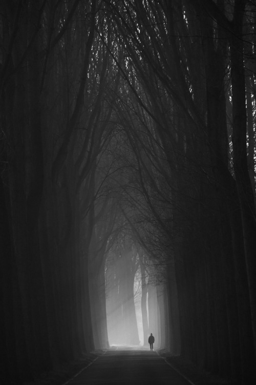 Archillect ID 53560