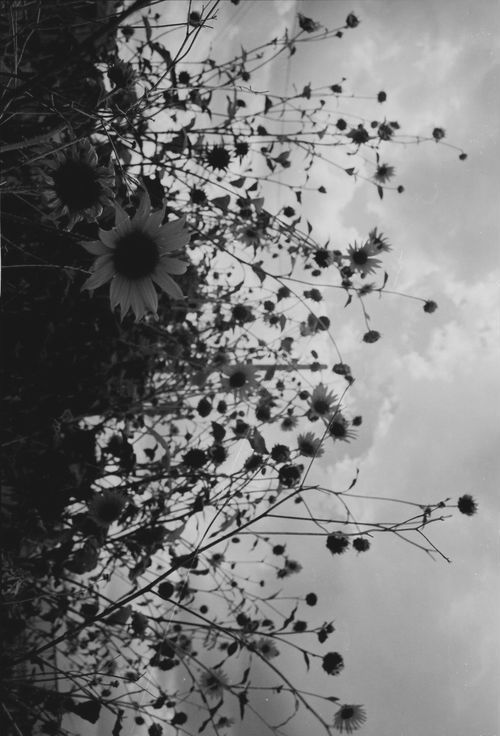 Archillect ID 53586