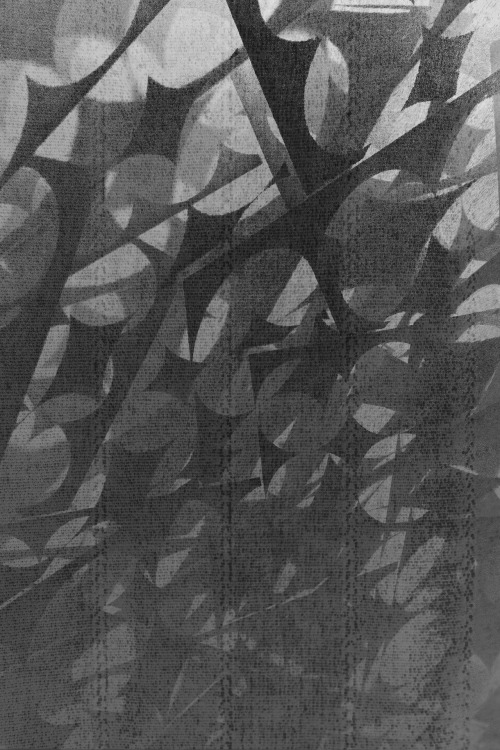 Archillect ID 53588