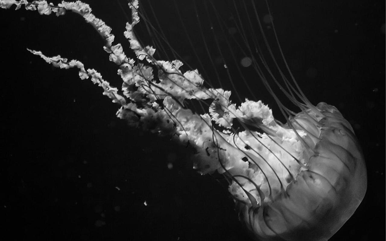 Archillect ID 53691