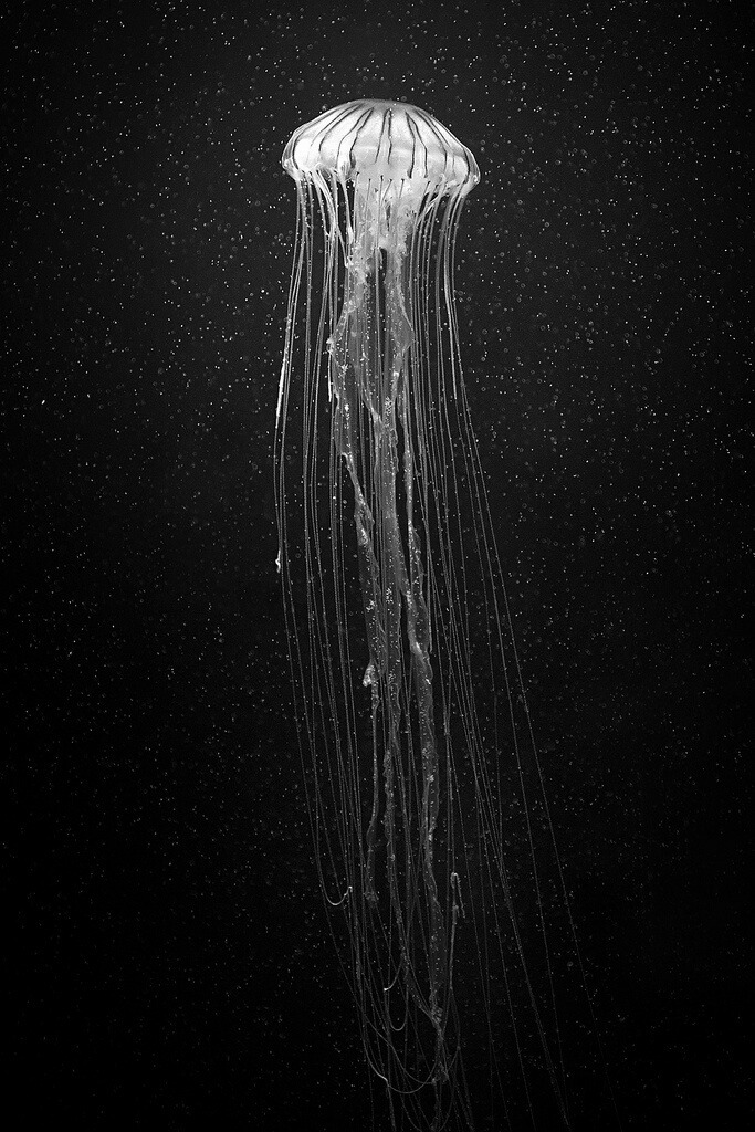 Archillect ID 53713