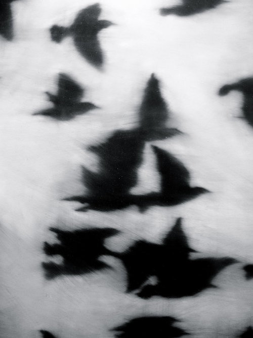 Archillect ID 53717