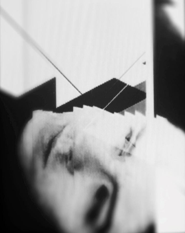 Archillect ID 53803