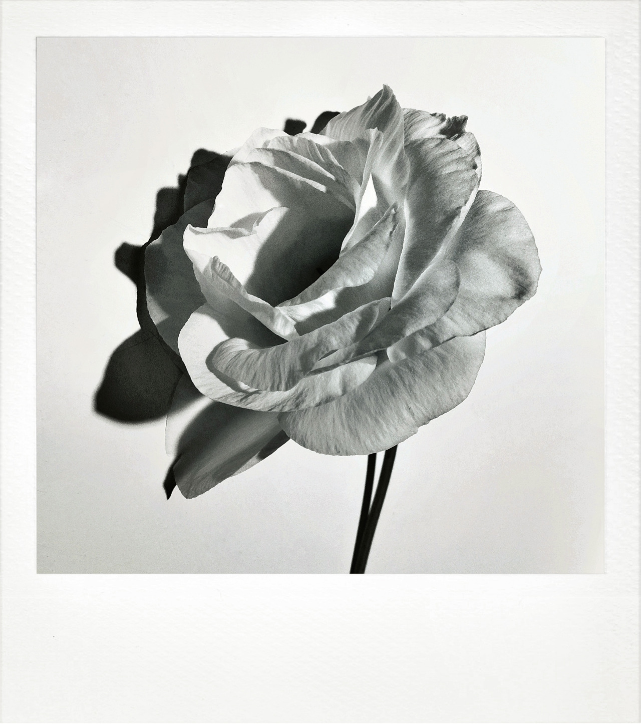 Archillect ID 53836