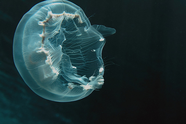 Archillect ID 53854