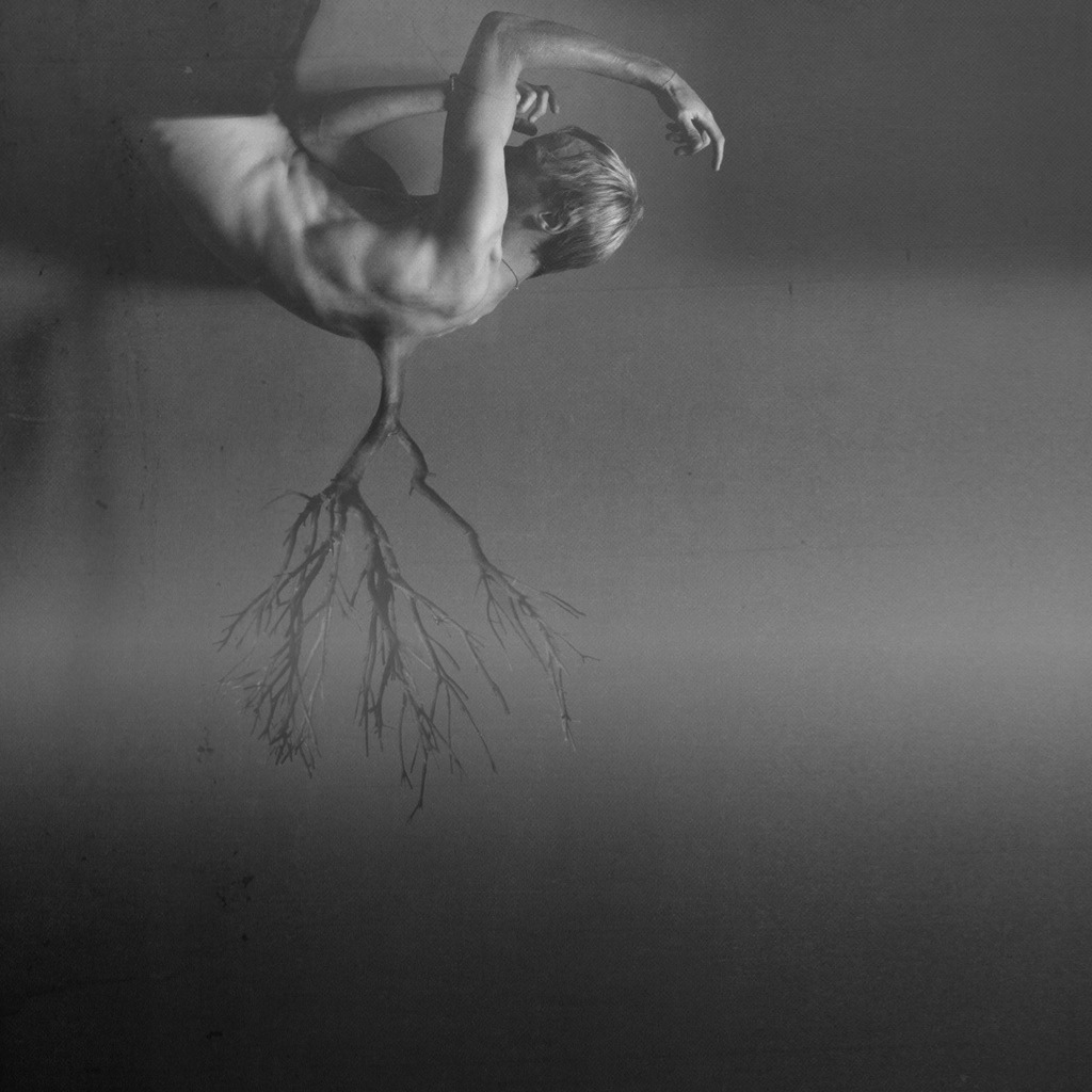 Archillect ID 53871