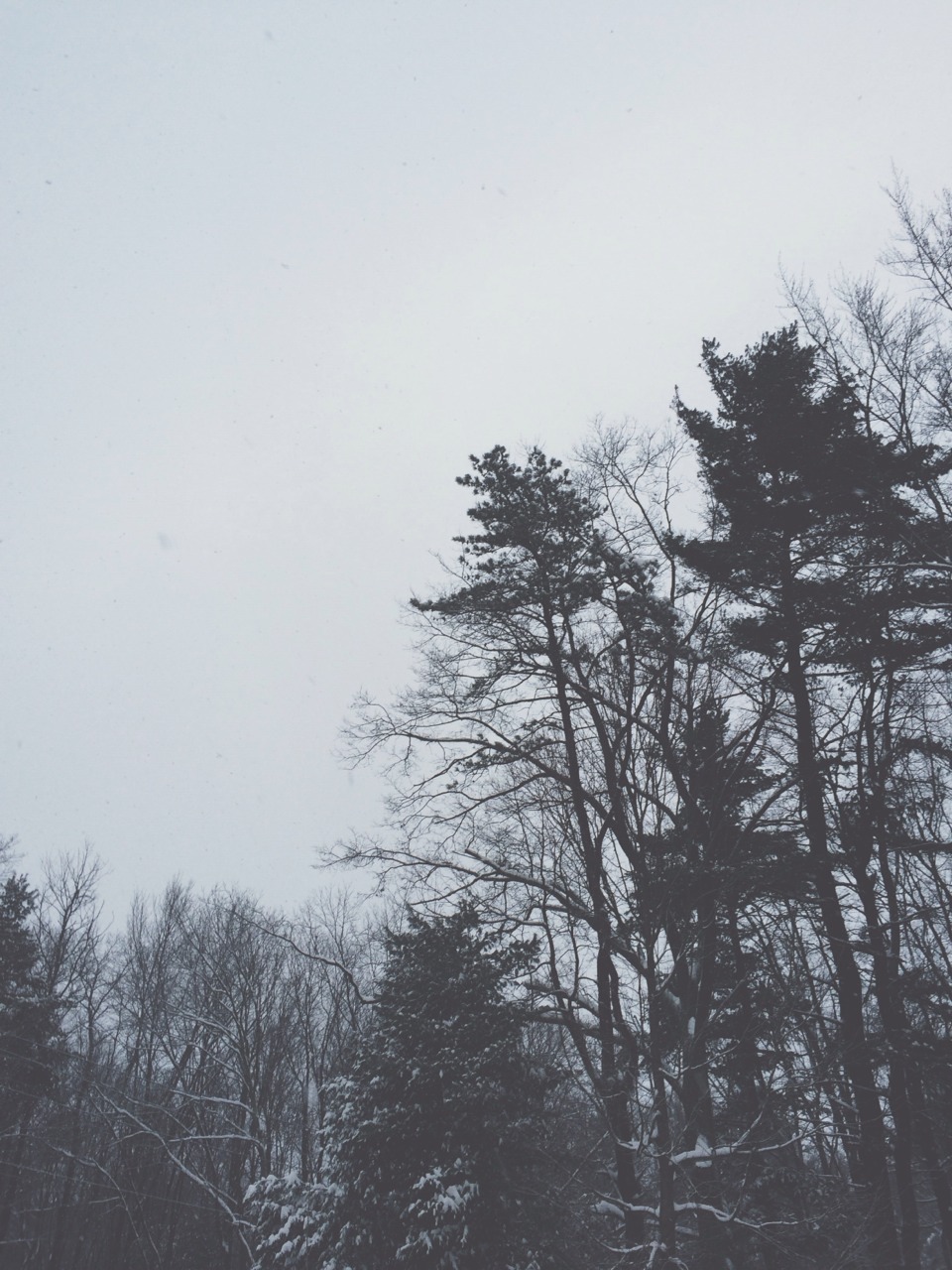 Archillect ID 53876
