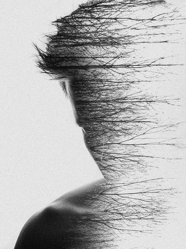 Archillect ID 53893